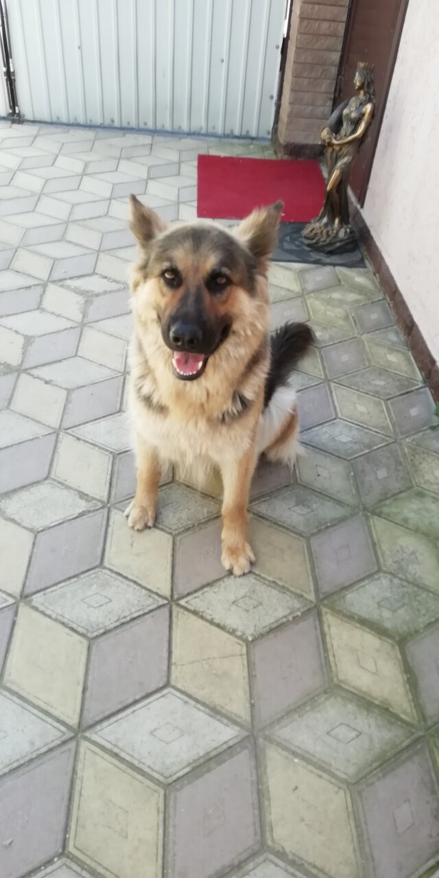 Мини-отель Семья Феодосия-87