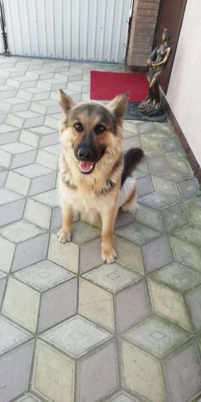 Мини-отель Семья Феодосия-86